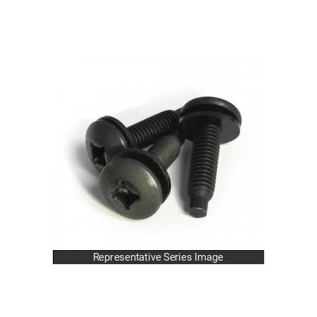 Hammond 10-32 Rack Screws, 10-Count SCREW1032-10